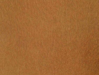 SADDLE qaxvl1nr2yt9xswtabzty21mtfor6qc1lmnrovir00