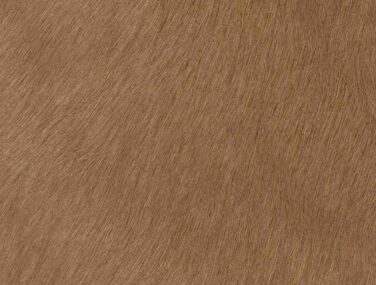 TAN qaxvl96gln3kiolw2f8ui05bkinowb5wanvnj37lm8