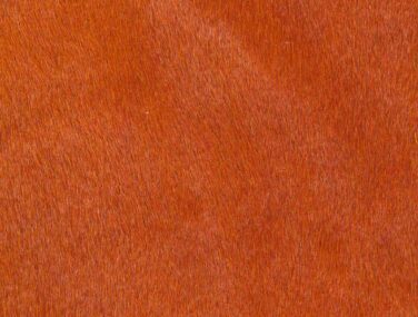 TANGERINE qaxvlb24zb655wj5rg23mzo8raefbpdcyx6mhn4t9s