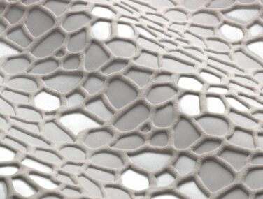 Dinosaur Editions scaled q8710t1s4eahwf9yfcb90839kiw4g6i6opt24gvtps