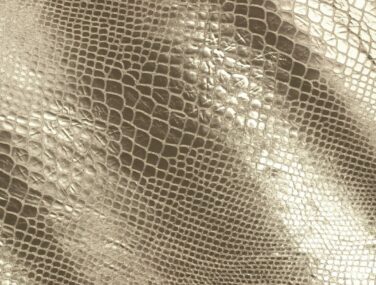 Snakeskin Editions Gold Luxe scaled q87164suulkzovjfbn754vpar4n02fnff2w40wzigg
