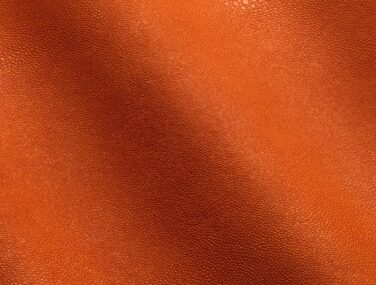 Stingray Editions scaled q86zpof3gfrxs9qemgxnhm89c16liieojg9mw0rfow