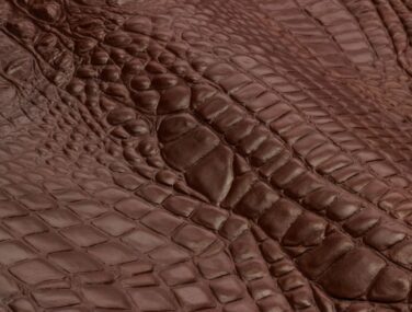 Wax Crocco scaled q86xvrygalk7shgjfzfao8wtzi05ugs659o3lmh3xs