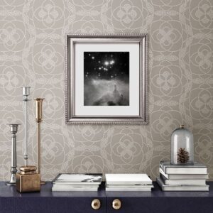 Cosmos Light Grey Dot