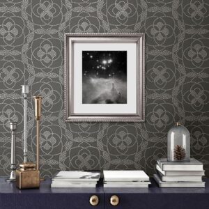 Cosmos Charcoal Dot