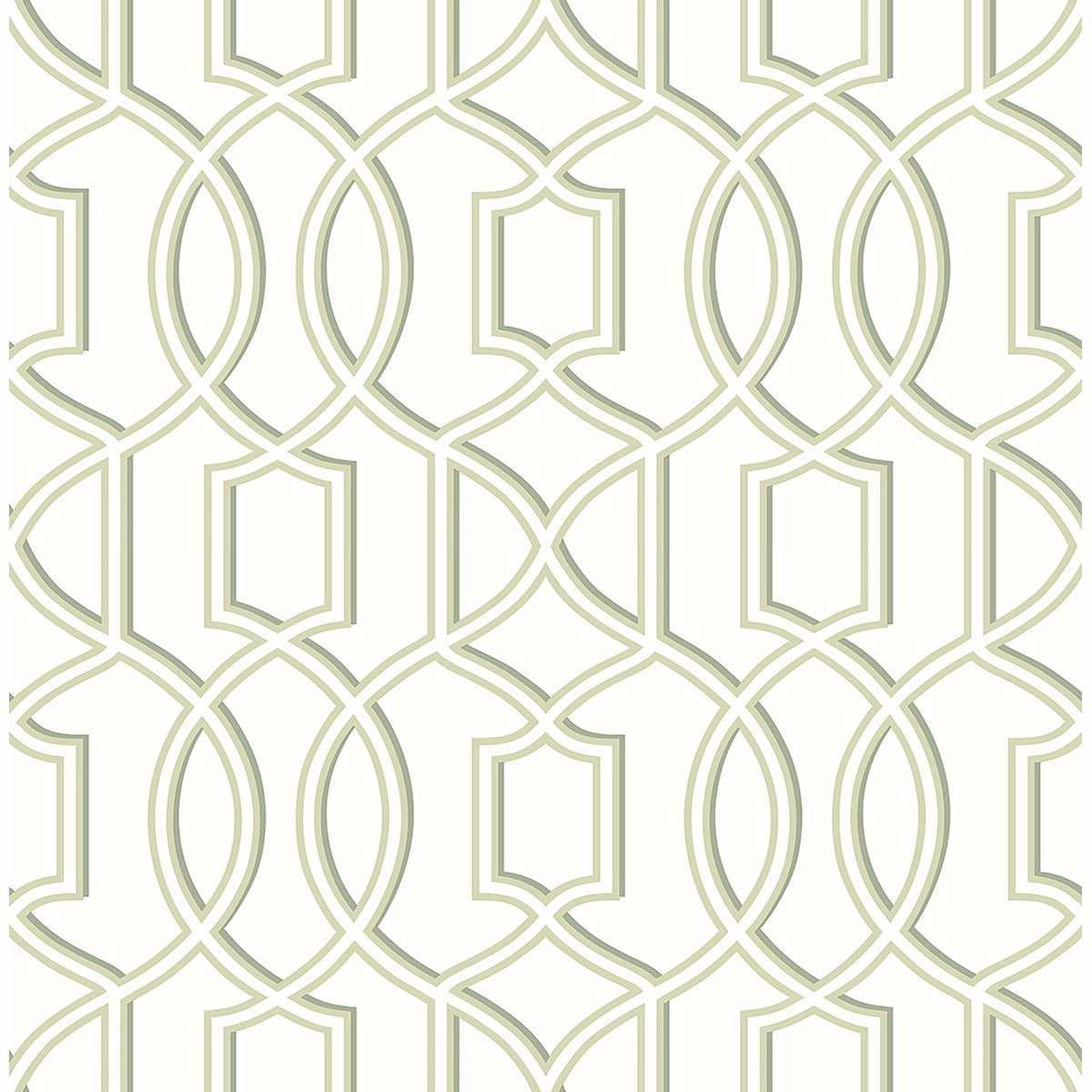 0037208 quantum green trellis