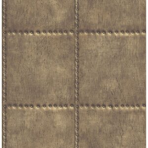 0037309 sheet metal brass rivets