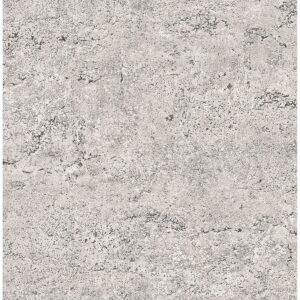 0037347 concrete rough taupe industrial