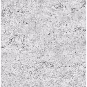 0037348 concrete rough light grey industrial