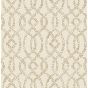 0037899 ethereal bronze trellis wallpaper