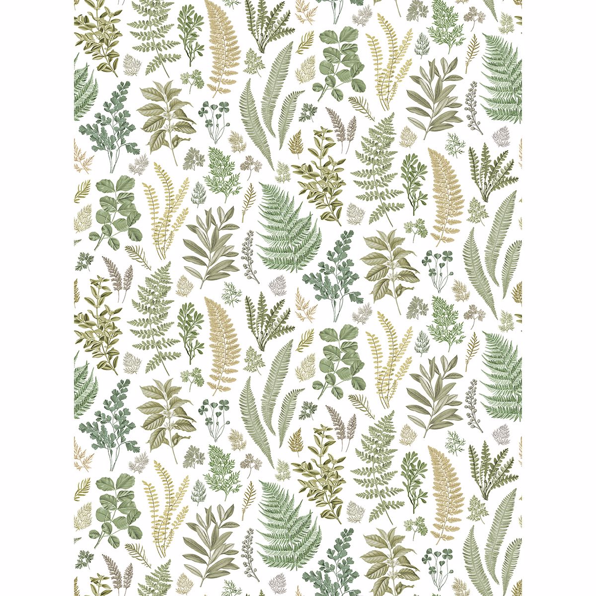 0038367 britta green herbs wall mural