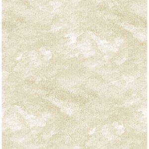 0041704 bode beige cloud wallpaper