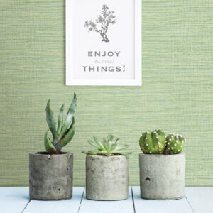 Agave Green Imitation Grasscloth Wallpaper