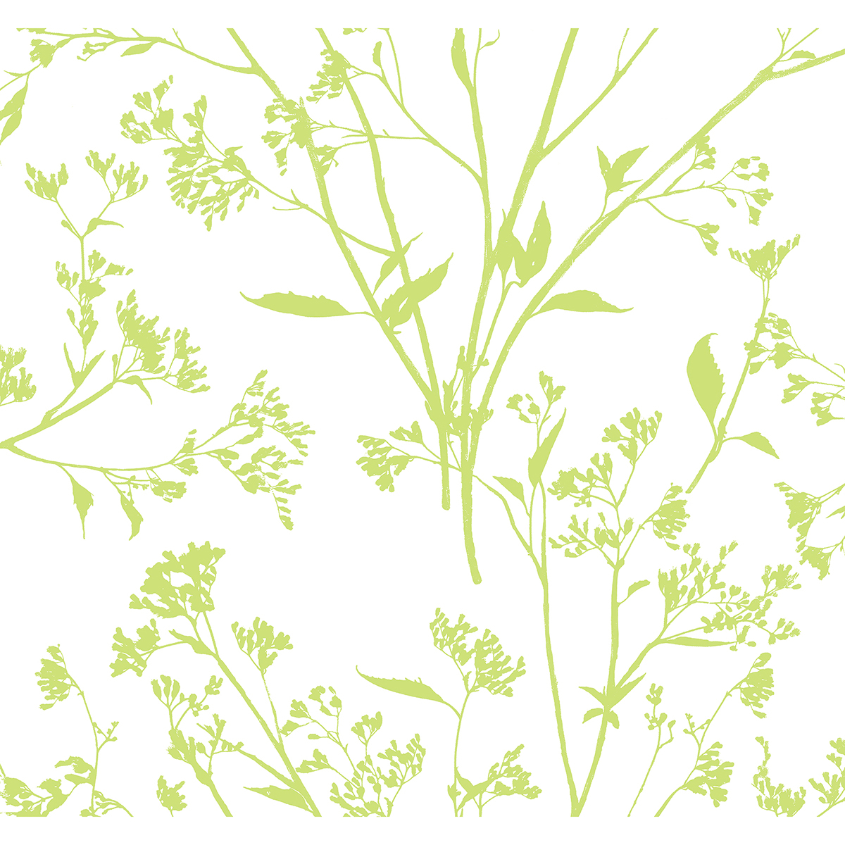 0051029 southport chartreuse delicate branches wallpaper