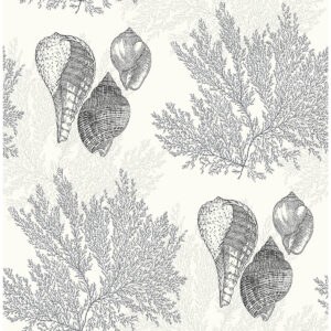 0051069 nauset black seashell shores wallpaper