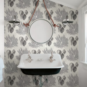 Nauset Black Seashell Shores Wallpaper