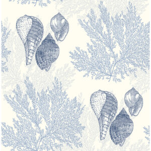 0051071 nauset blue seashell shores wallpaper