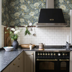 Eva Blue Lotus Dreams Wallpaper