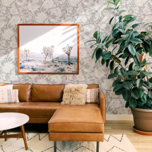 Bernadina Grey Rosebush Wallpaper