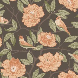 0089176 bernadina black rosebush wallpaper