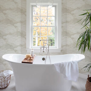 Vision Pearl Stipple Clouds Wallpaper