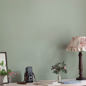 Parget Var Light Green Textured Wallpaper