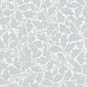 0092034 oak tree sky blue leaf wallpaper