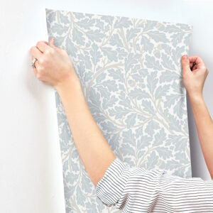 Oak Tree Sky Blue Leaf Wallpaper