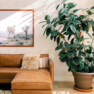 Encircle Dove Geometric Wallpaper