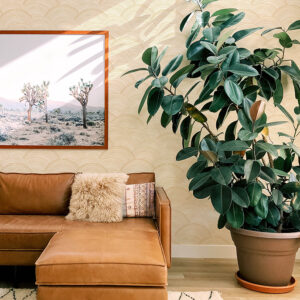 Encircle Yellow Geometric Wallpaper