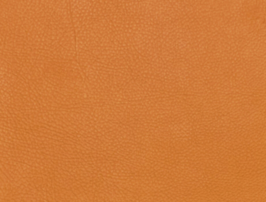 Organica Mustard 1 qrwoo1km1p45kjkwet9pisdo0xk0mb8qshmcb7xnhs