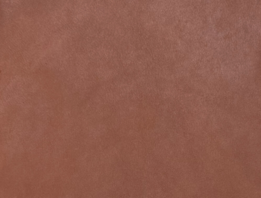 Organica Terra qrwlhks5s0f3q1uktc19vo8vrpqv98thpxloe5nl80