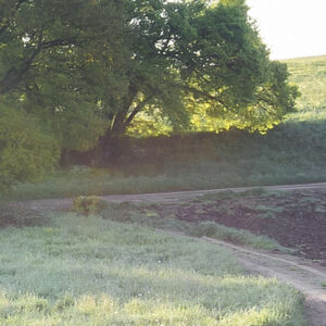 A New Day in Paradise