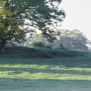 A New Day in Paradise