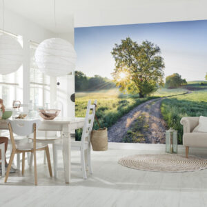 A New Day in Paradise