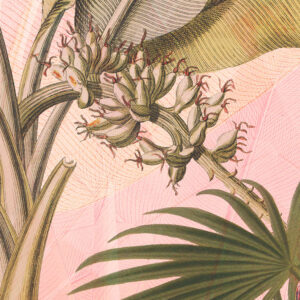 Botany