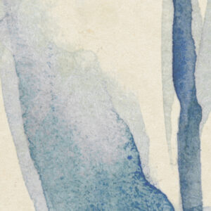 Aquarel-Field