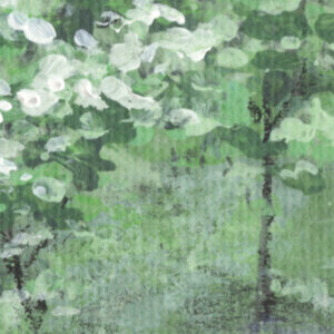 Fairyland