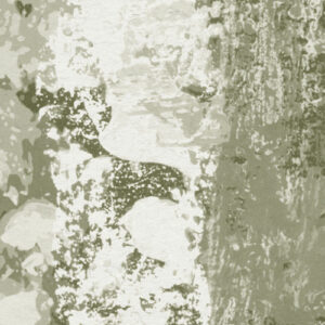 Fading Forest