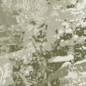 Fading Forest