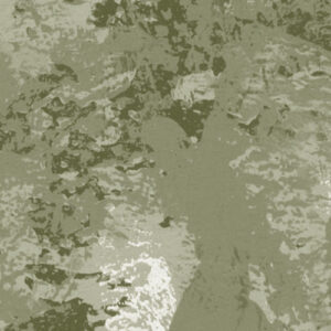 Fading Forest