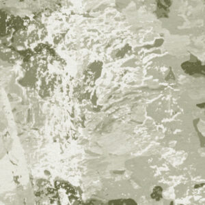 Fading Forest