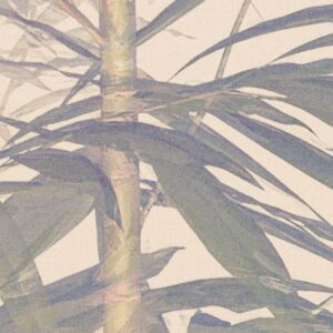Bamboo Paradise