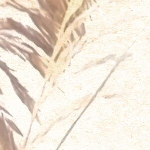 Dune Grass