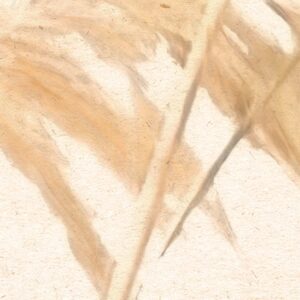 Dune Grass