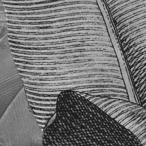 Amazonia Black & White