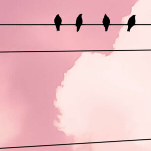 Cloud Wire