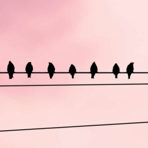 Cloud Wire