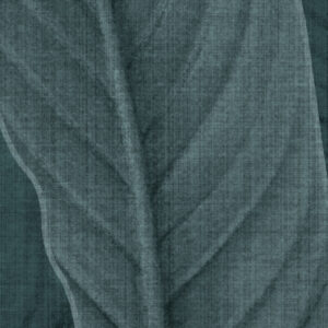 Bain de Feuilles
