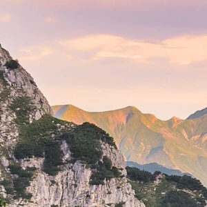 Alps